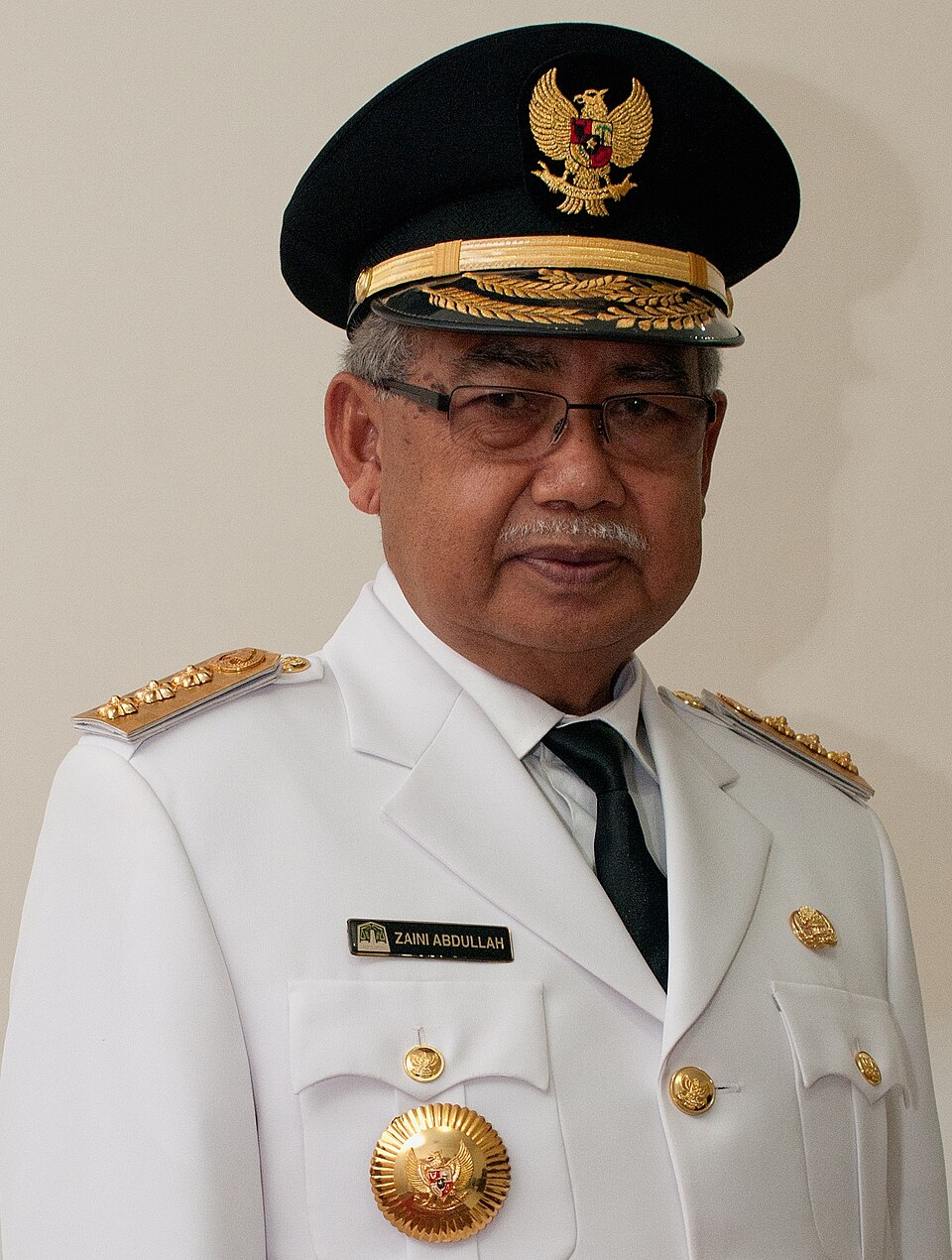 Profil dr. Zaini Abdullah: Sang Diplomat dan Bapak Perdamaian Aceh